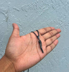 Italian Horn on Cuban Chain