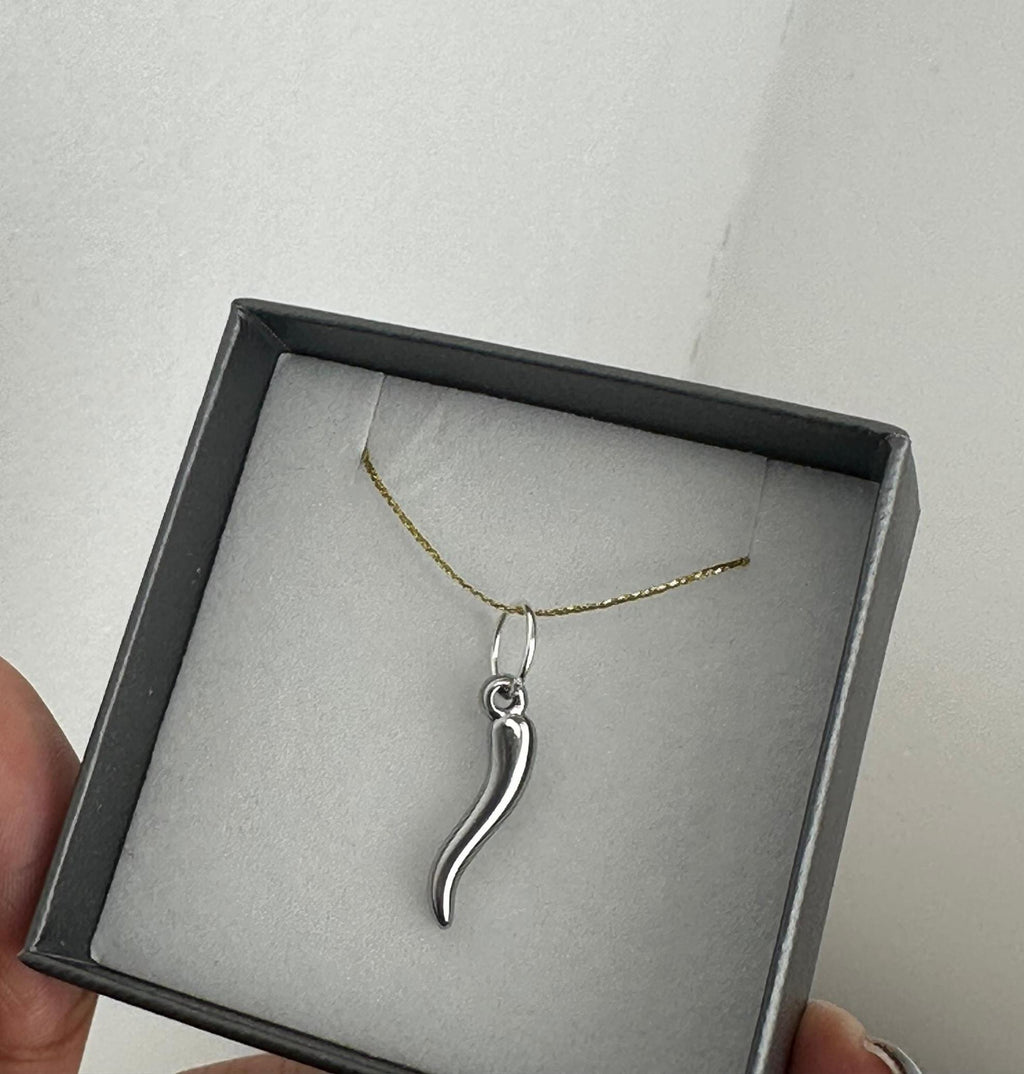 Italian Horn Pendant (Silver)