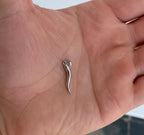 Italian Horn Pendant (Silver)